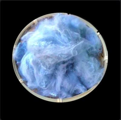 Solid Non Siliconized Dope Dyed Polyester Staple Fiber 1.2D×38mm For Spinning