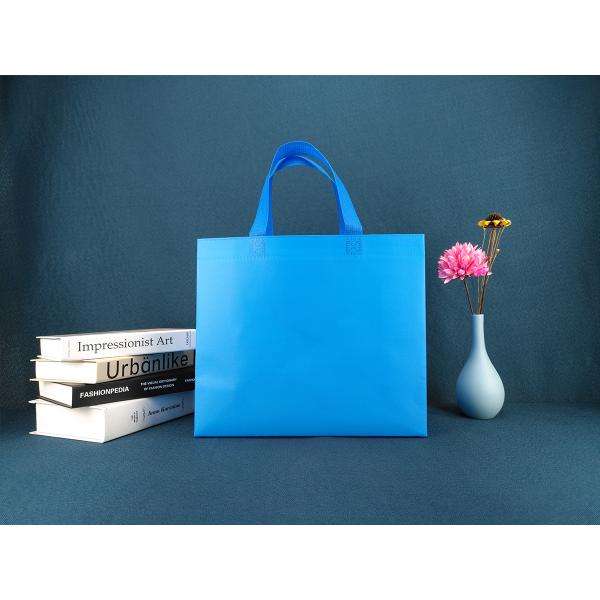 Cloth Recycled Tote Bag Blue Gift Laminate OEM Non Woven Shopping Bag Reusable