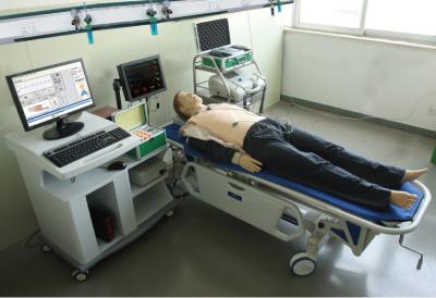 Comprehensive Adult First Aid Manikins with CPR for School Training , Teaching