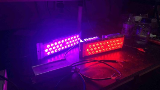 рождество привело светлое на открытом воздухе украшение rgb привело свет потока IP65 привело свет потока RGB модуля pcb