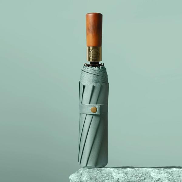 Windproof 10-Ribbed Metal Shaft Automatic Open / Close Travel Umbrella