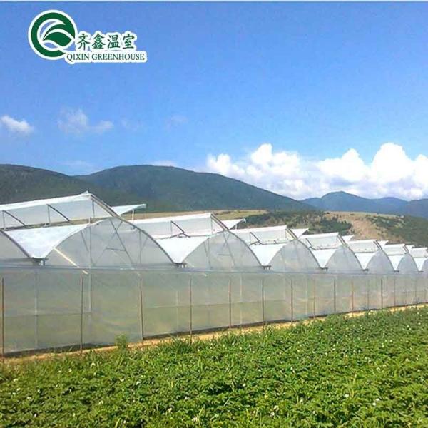 Greenhouse Aquaponics Hydroponic Growing System with Cooling and Ventilation Options