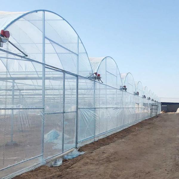 Customized Agricultural Plastic Film Multi-span Polyhouse Greenhouse