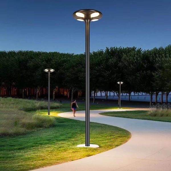 Solar Street Lights Offering Bright LED Lighting and Sustainable Energy Solutions for Street and Pathway Illumination