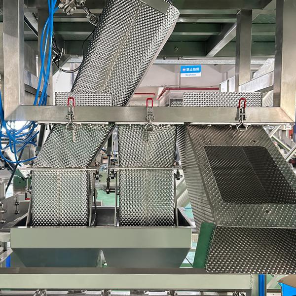 Machine d'emballage de poisson congelé, poulet, dinde, boeuf, boulettes de viande à pesée entièrement automatique - Machine d'emballage de viande pour côtes