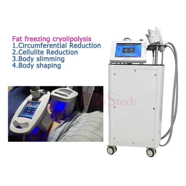 Grosse machine brûlante de Cryolipolysis de 4 poignées pour l'usage à la maison