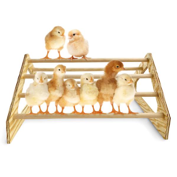 Gray Chick Perch Strong Wooden Jungle Gym Roosting Bar Chicken Toys for Coop and Brooder