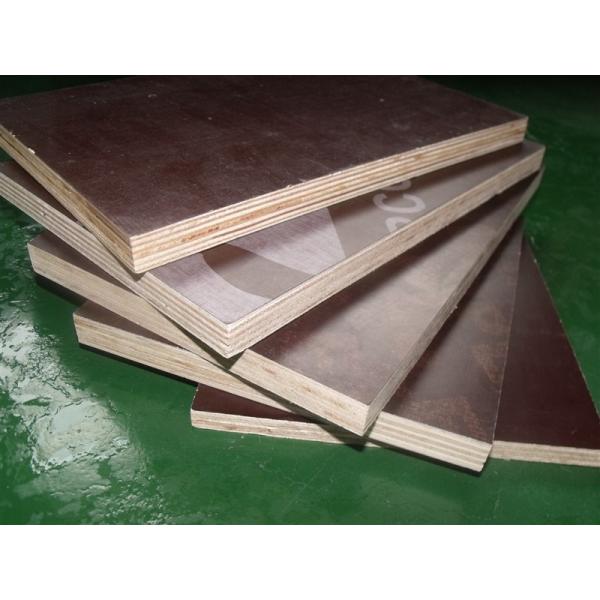 birch film faced plywood with MELAMINE glue