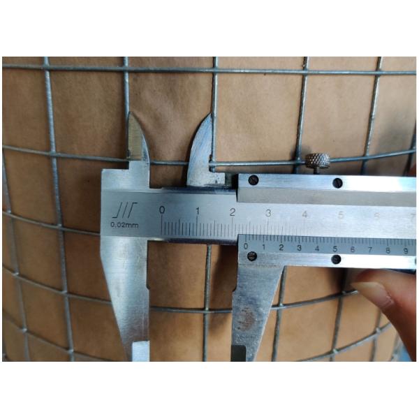 Galvanized Welded Wire Mesh The Perfect Choice for Durable Garden Fencing Solutions