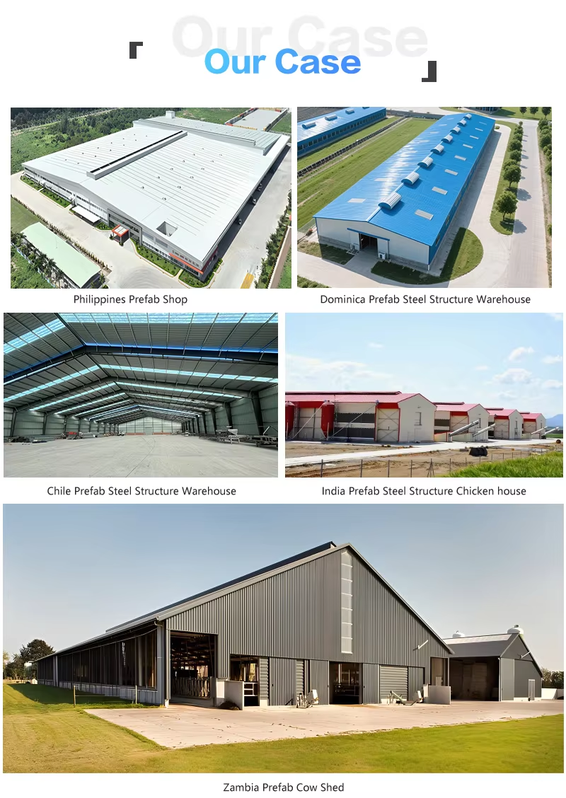 High Rise Steel Structure Building Apartments Hotel Warehouse Prefabricated With Loft Industrial Shed Plans