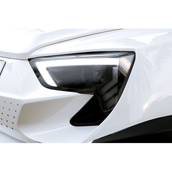 Safe & Comfortable Electric Golf Cart 6 Seats & 2 Rear for 8 Passengers High Speed Long Range