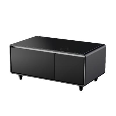 Stainless Steel Coffee Table with Mini Fridge and Side-by-Side Frozen Refrigerators