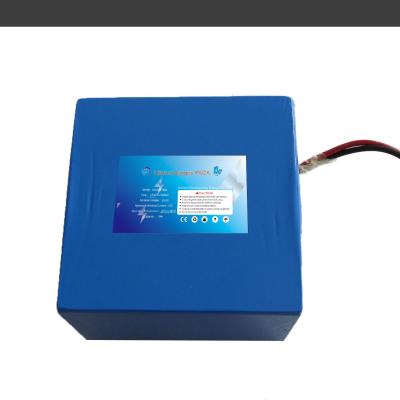 Lifepo4 bateria de alta qualidade feita sob encomenda 24v 10ah