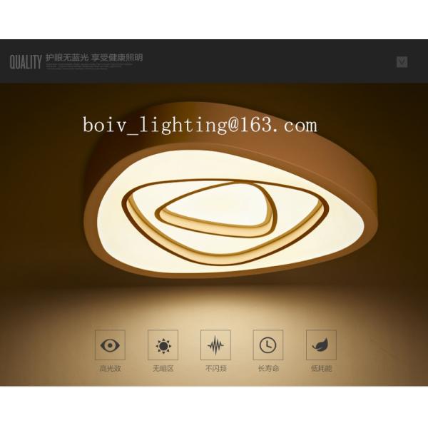 Modern Indoor Iron   LED Ceiling Mount Light  For Living Room Hotel