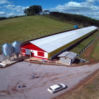 Diseño moderno estructura de acero casa de pollos almacén de pollo para la granja