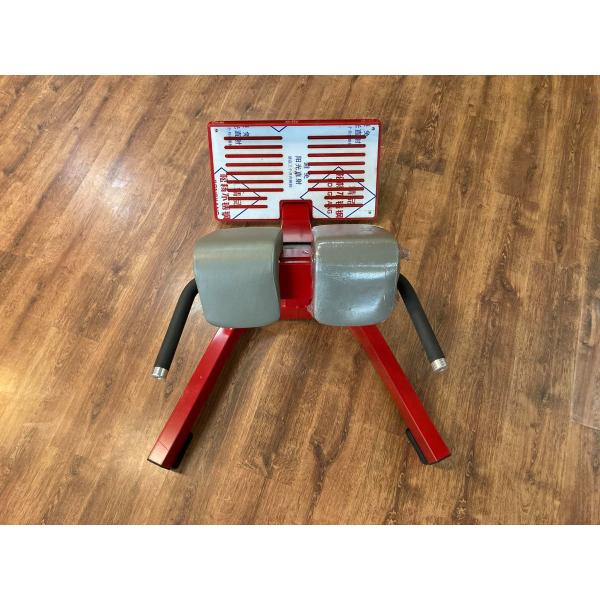 Salle de sport 45 degrés machine d'extension du dos chaise romaine banc de gym à vendre