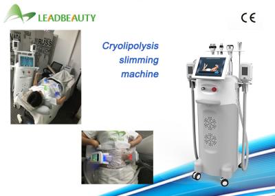 CE approval fat freezing cryo lipolysis cryolipolysis cold body sculpting machine