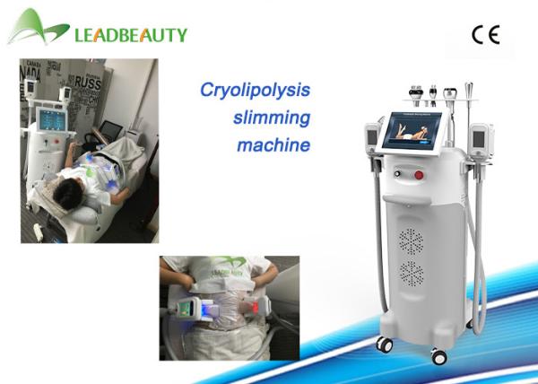 Non-surgical cryolipolysis fat reduction body waist slimming machine with 5 cryo handles