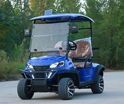 GCC Market 4 Seater Electric Golf Cart with High Grade Ability and Convertible Design