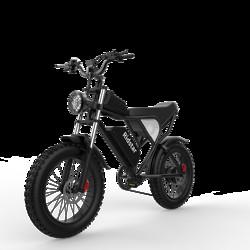 48V 1000W 20Ah 20 X4.0 Fat Tire Electric Mountain Bike With Removable Battery