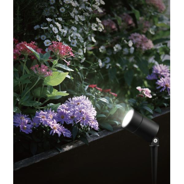 12v LED Garden Spike Lights Ip65 Small Middle Big Size Dual Input Voltage