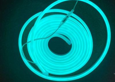 Blue Lake EU Plug Led Neon Flex Strip 8*16mm 12V 200cm
