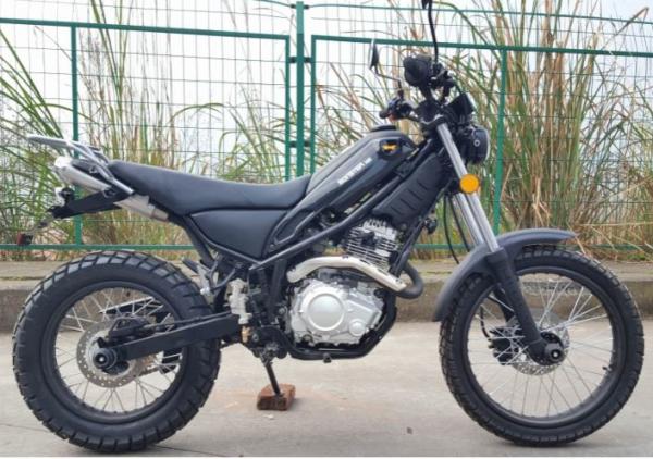 250cc Electric Dirt Bike , Adult Dirt Bike Black Color CDI Ignition