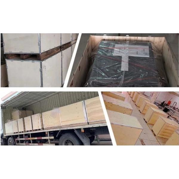 Rasguño flexible de la luz de la cirugía del ANIMAL DOMÉSTICO LED de 72 bulbos resistente