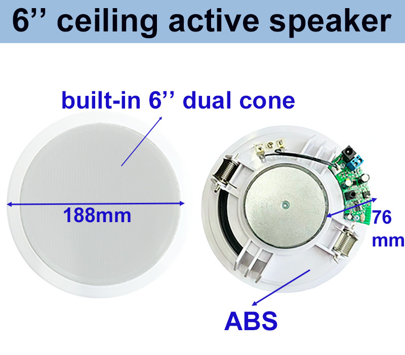Oval 6 Inch Ceiling Active Speaker ABS Dual Cone 4×10W OEM ODM