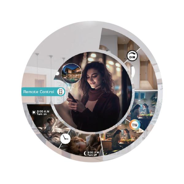 24VDC Centralized Magnetic Track Light 10W 2700-6500K Low Voltage Track Light Magnetic