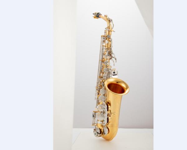 OA Pay Vintage Straight Alto Sopranino china factory  Saxophone Tenor BB Pipe Neck OEM ODM