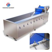 Bolha surfando de circulação do Sanitization do ozônio da máquina de lavar das frutas e legumes da bolha 3KW