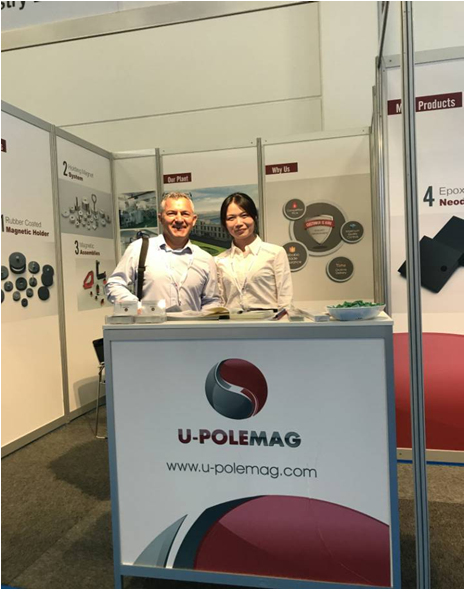 AFPMG460-1.0KW/130RPM Generador de turbina eólica para el hogar Velocidad nominal 150 Imán industrial