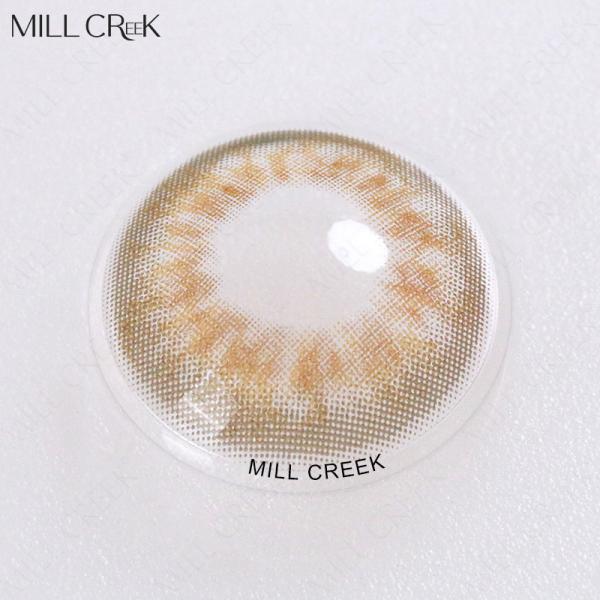 Пурпур Брауна серого цвета зеленого цвета Тейлора контактных линзов круга 14mm рецепта