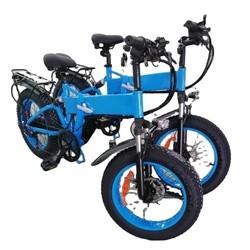 500W Brushless Motor 20 Inch Electric Bike