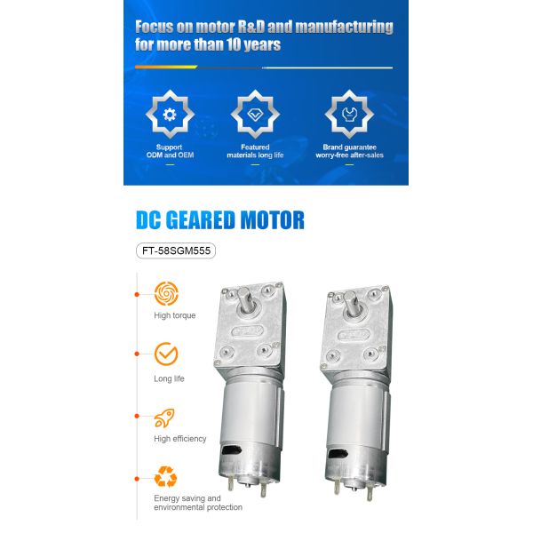 FT- 58SGM555 Carbon Brushed Dc Worm Gear Motor  for  Smart Home  Robots