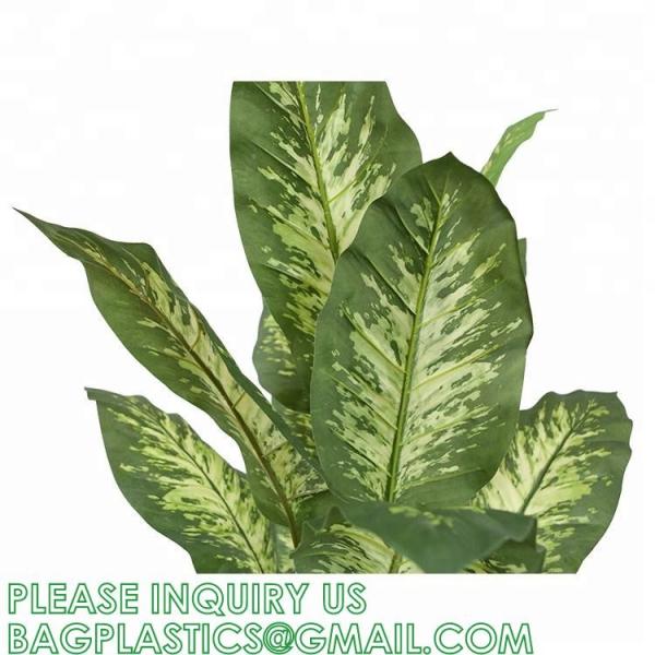 Artificial Green Dieffenbachia Plant 2 Pack - Faux Indoor Plant Spray - EverGreen Greenery For Home Or Office Decor