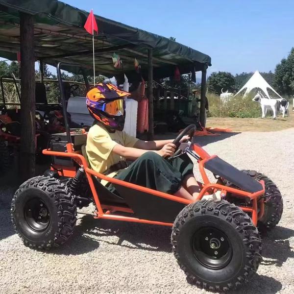 Amusement Park Rental Golf Buggy Cart with 1000W Brushless Motor and EEC Certification