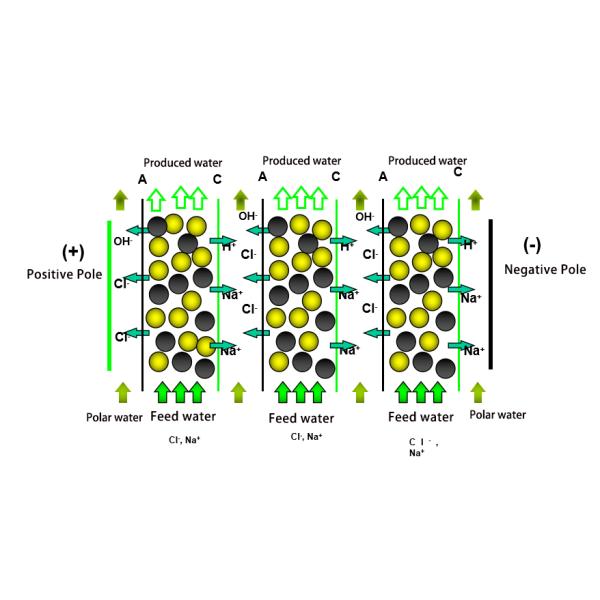 1000L RO EDI Water Treatment Plant Water Purifier Desalination