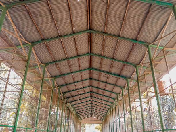 Corrosion Resistant Pre-engineered Modular Steel Chicken Coop for Poultry Farming
