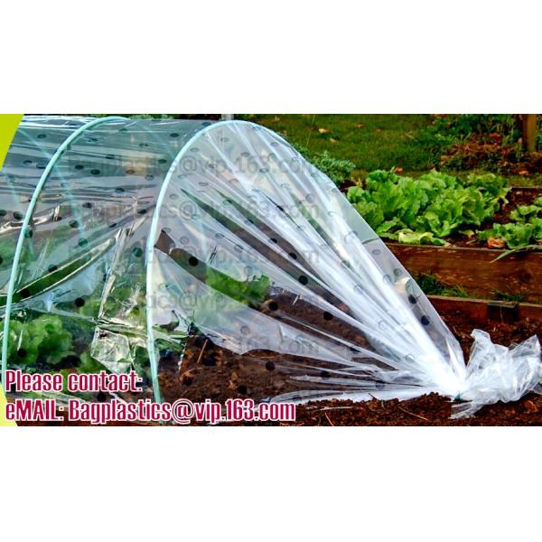 Agricultural Mulching Film Used for Fruit, Flower and Vegetable