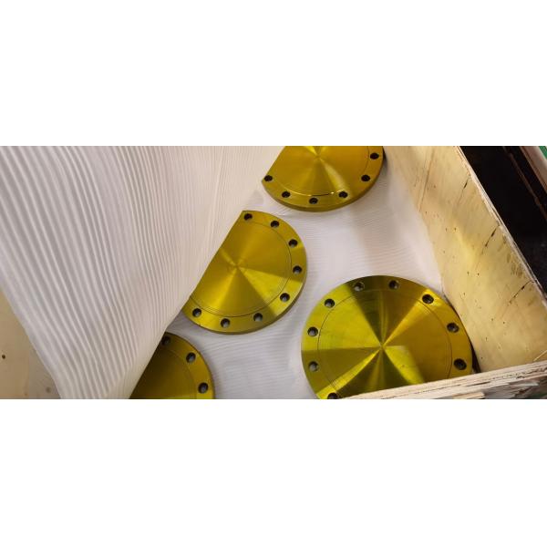 Dn15-Dn1200 Stainless Steel Threaded Pipe Flange 300lbs Multi Standard