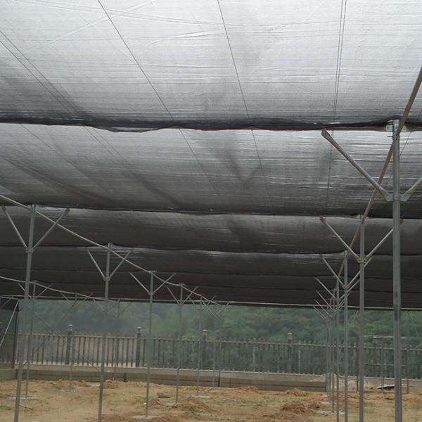 Polyethylene Lightweight Sun Shade Greenhouse Commercial Shade House