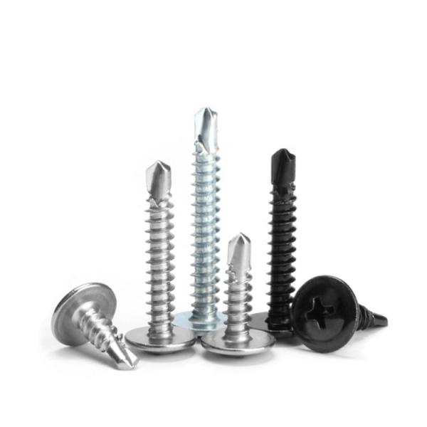 Inspected Self-Drilling Screws in SS304/Carbon Steel/Brass for Fine Metal Inspection