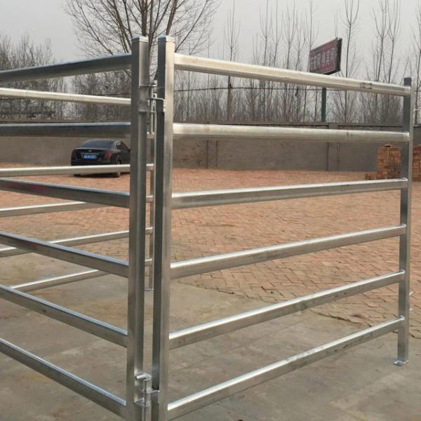 30x60x1.6mm Horizontal Tube Horse Fence Panels For Sale Square Tube
