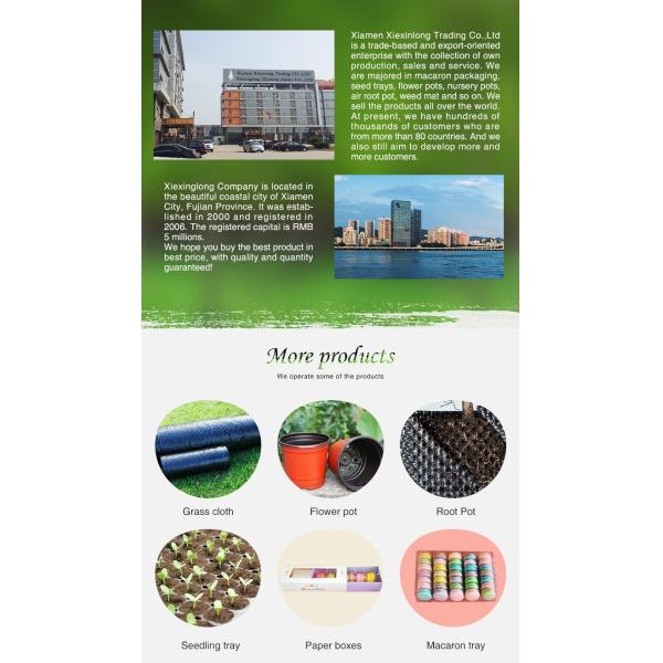 10 мл 5 шт Прозрачная ампула ПВХ Пузырьная пачка для иглы для воды