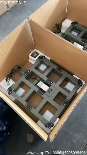 Heavy Duty Platform Weight Scale Electronic Digital Weighing Scales 500x500mm 300Kg  With Backrail