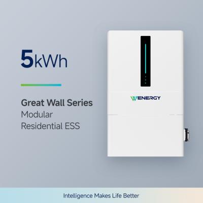 BMS Protection Home Energy Storage Battery 5 kWh ( Domestic Battery Energy Storage)