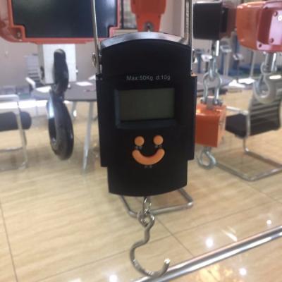 Balance numérique suspendue portable de 50 kg Balance électronique haute précision avec alimentation par batterie et support OEM