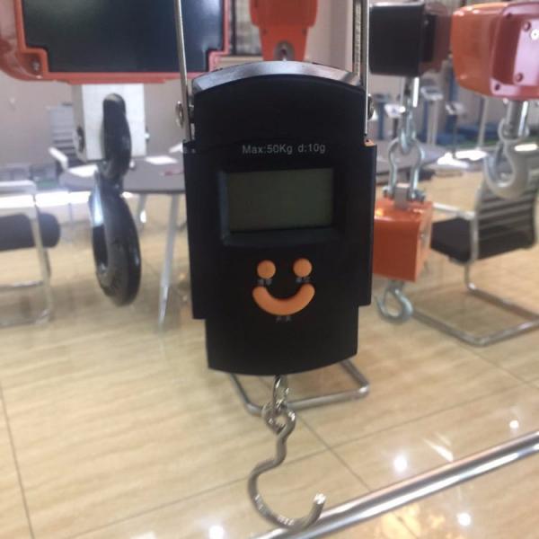 Balance numérique suspendue portable de 50 kg Balance électronique haute précision avec alimentation par batterie et support OEM